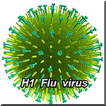 flu virus H1
